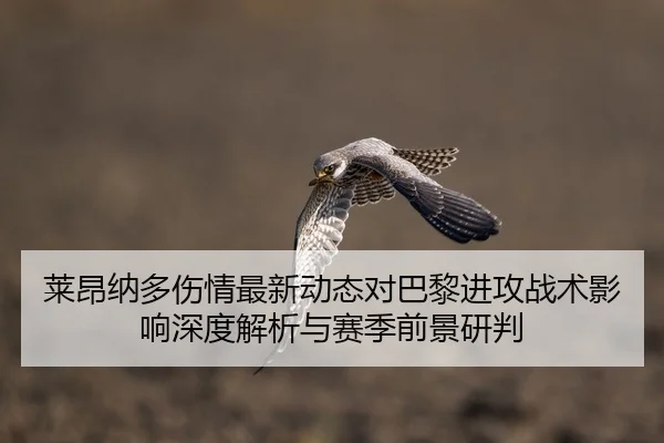 莱昂纳多伤情最新动态对巴黎进攻战术影响深度解析与赛季前景研判