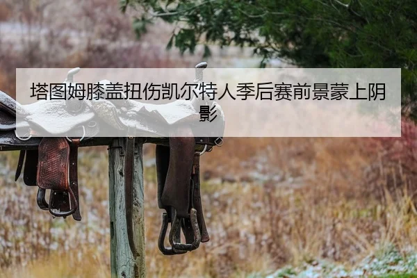 塔图姆膝盖扭伤凯尔特人季后赛前景蒙上阴影