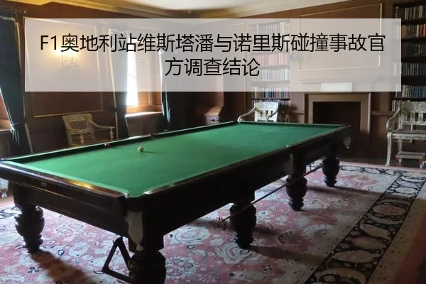 ao-di-li-zhan-wei-si-ta-pan-yu-nuo-li-si-peng-zhuang-shi-gu-guan-fang-diao-cha-jie-lun-2-368.jpg