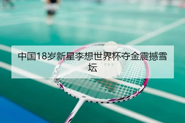 中国18岁新星李想世界杯夺金震撼雪坛