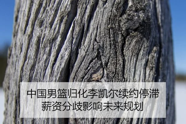 zhong-guo-nan-lan-gui-hua-li-kai-er-xu-yue-ting-zhi-xin-zi-fen-qi-ying-xiang-wei-lai-gui-hua-2-941.jpg
