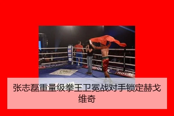 张志磊重量级拳王卫冕战对手锁定赫戈维奇