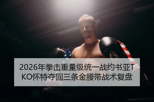 2026年拳击重量级统一战约书亚TKO怀特夺回三条金腰带战术复盘