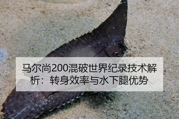 马尔尚200混破世界纪录技术解析：转身效率与水下腿优势