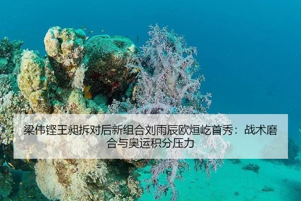 梁伟铿王昶拆对后新组合刘雨辰欧烜屹首秀：战术磨合与奥运积分压力